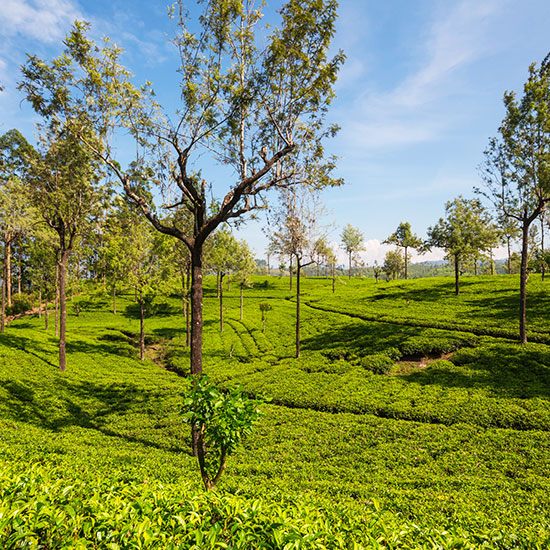 Northeast Adventure Trail